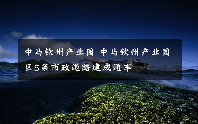 中马钦州产业园 中马钦州产业园区5条市政道路建成通车