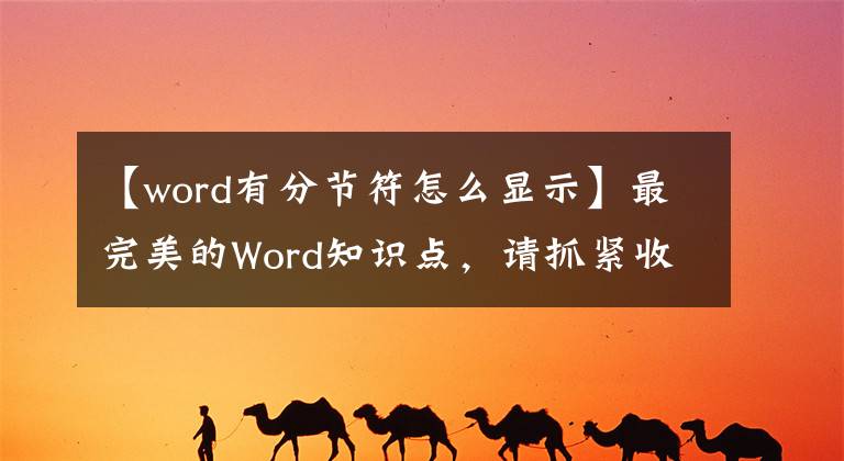 【word有分节符怎么显示】最完美的Word知识点,请抓紧收藏