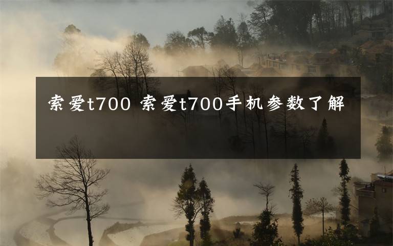 索爱t700 索爱t700手机参数了解