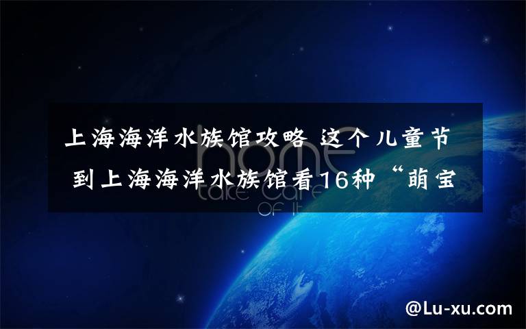 上海海洋水族馆攻略 这个儿童节 到上海海洋水族馆看16种“萌宝宝”