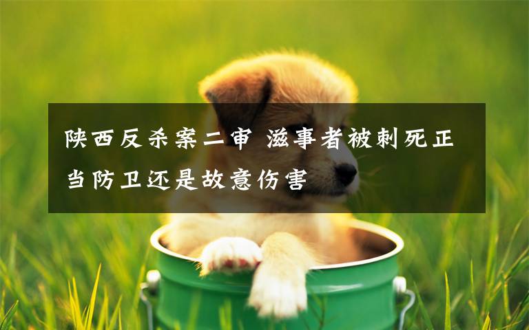 陕西反杀案二审 滋事者被刺死正当防卫还是故意伤害