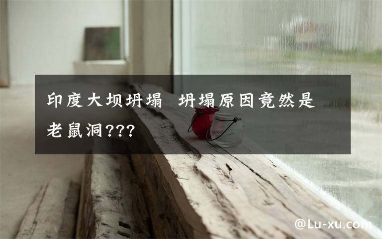 印度大坝坍塌  坍塌原因竟然是老鼠洞???