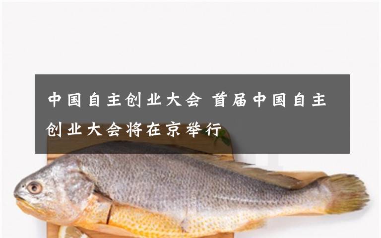 中国自主创业大会 首届中国自主创业大会将在京举行