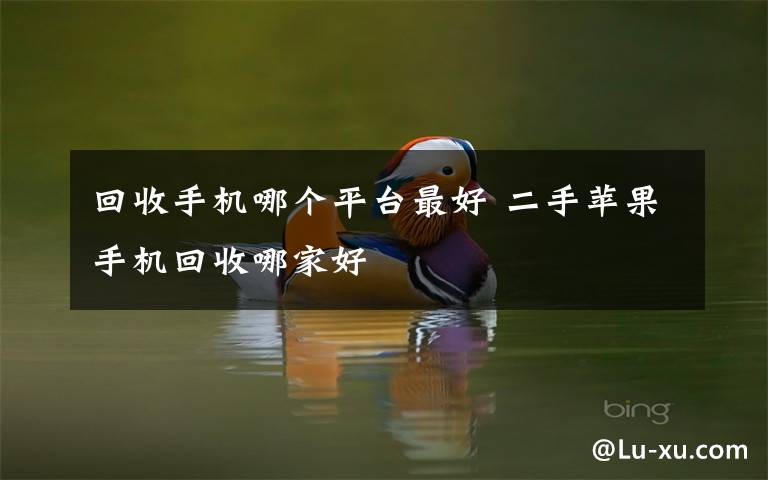 回收手机哪个平台最好 二手苹果手机回收哪家好