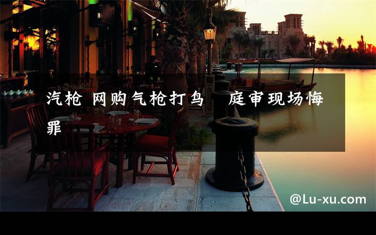 汽枪 网购气枪打鸟　庭审现场悔罪