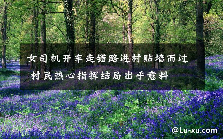 女司机开车走错路进村贴墙而过 村民热心指挥结局出乎意料