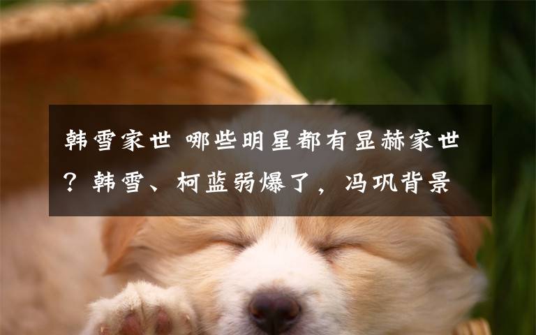 韩雪家世 哪些明星都有显赫家世？韩雪、柯蓝弱爆了，冯巩背景无人不服！