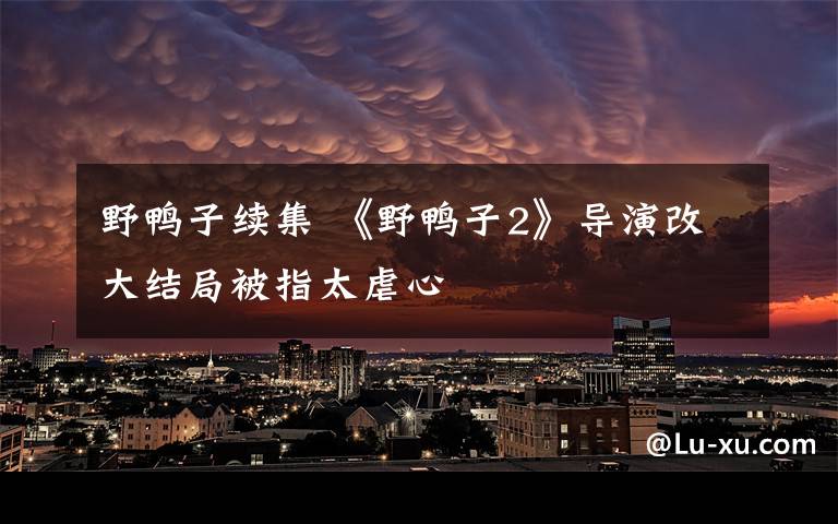 野鸭子续集 《野鸭子2》导演改大结局被指太虐心