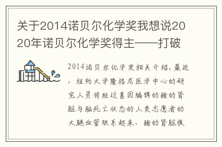 关于2014诺贝尔化学奖我想说2020年诺贝尔化学奖得主——打破“玻璃天花板”的女科学家