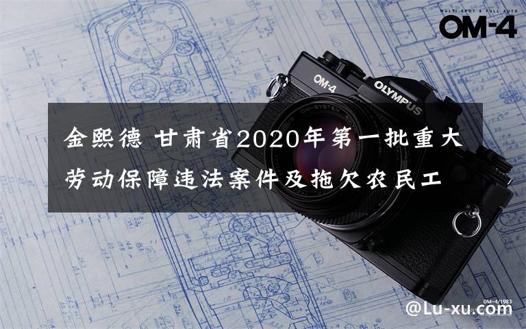金熙德 甘肃省2020年第一批重大劳动保障违法案件及拖欠农民工工资“黑名单”