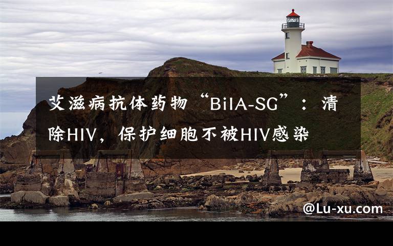 艾滋病抗体药物“BiIA-SG”:清除HIV,保护细胞不被HIV感染