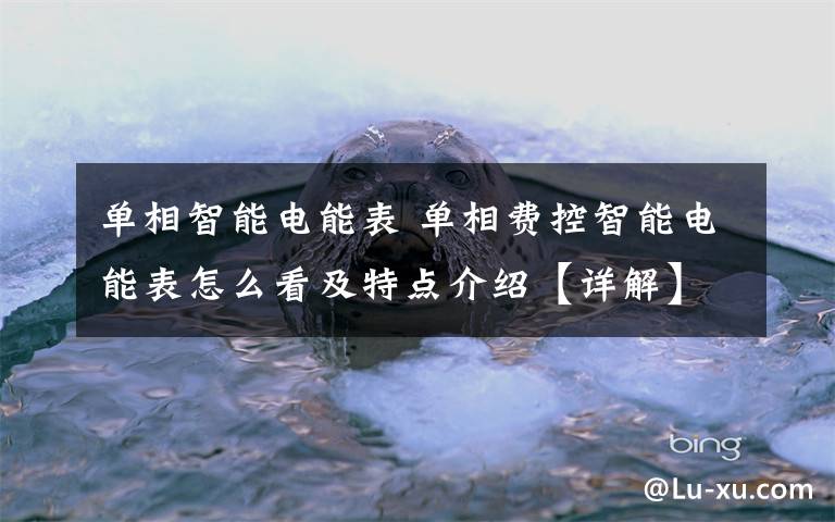 单相智能电能表 单相费控智能电能表怎么看及特点介绍【详解】