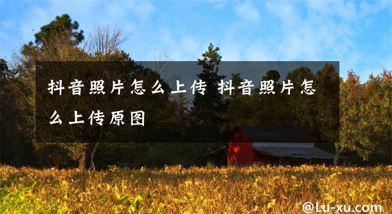 抖音照片怎么上传 抖音照片怎么上传原图