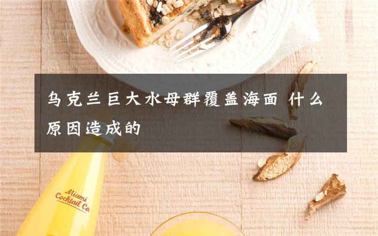 乌克兰巨大水母群覆盖海面 什么原因造成的