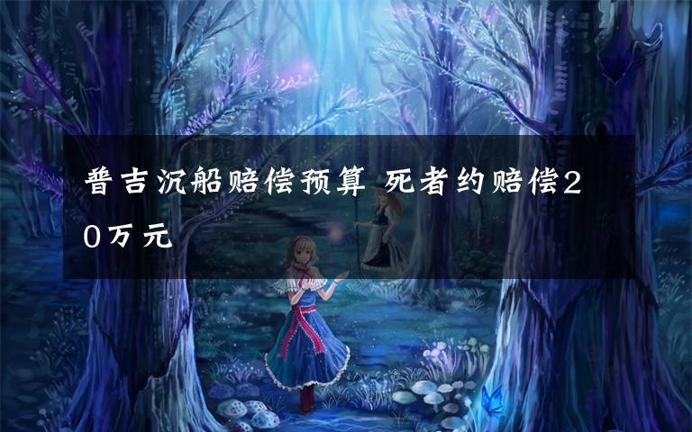 普吉沉船赔偿预算 死者约赔偿20万元