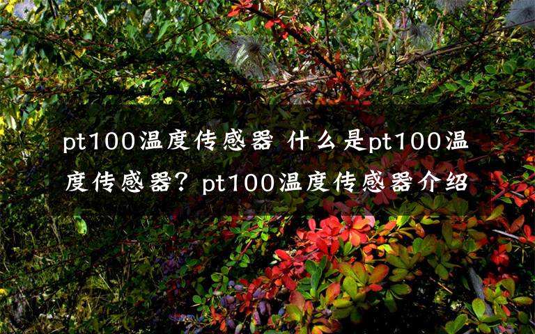 pt100温度传感器 什么是pt100温度传感器?pt100温度传感器介绍【详解】