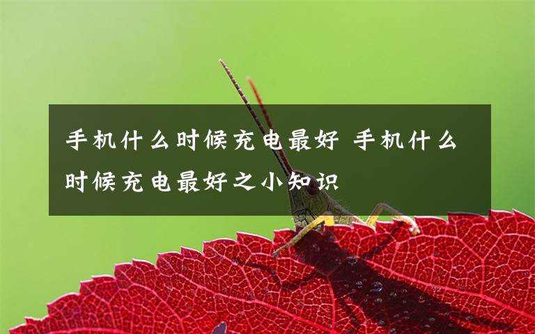 手机什么时候充电最好 手机什么时候充电最好之小知识