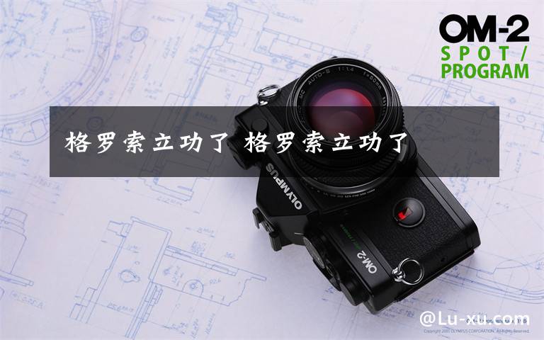 格罗索立功了 格罗索立功了