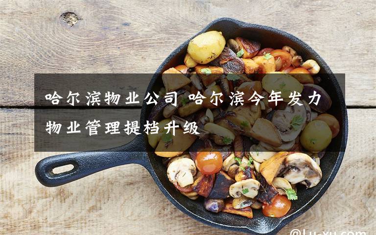 哈尔滨物业公司 哈尔滨今年发力物业管理提档升级