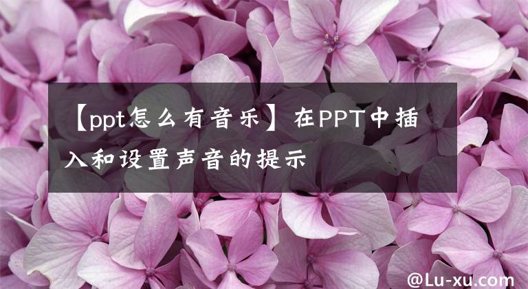 【ppt怎么有音乐】在PPT中插入和设置声音的提示