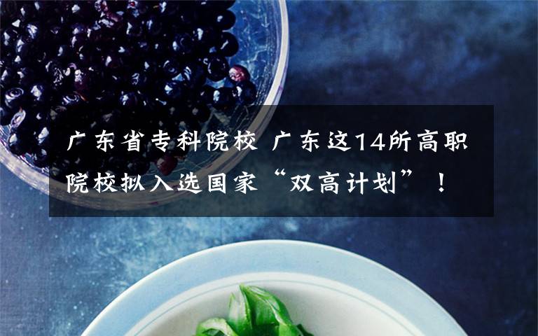 广东省专科院校 广东这14所高职院校拟入选国家“双高计划”!有你的学校吗?