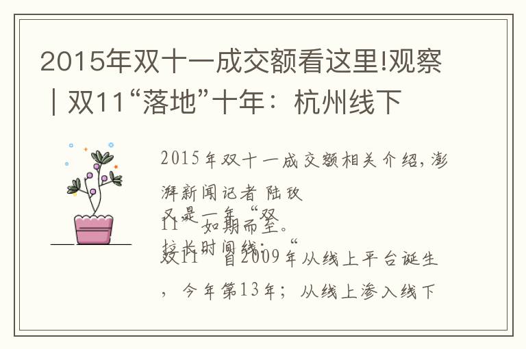 2015年双十一成交额看这里!观察|双11“落地”十年:杭州线下百货商场的“冰与火”