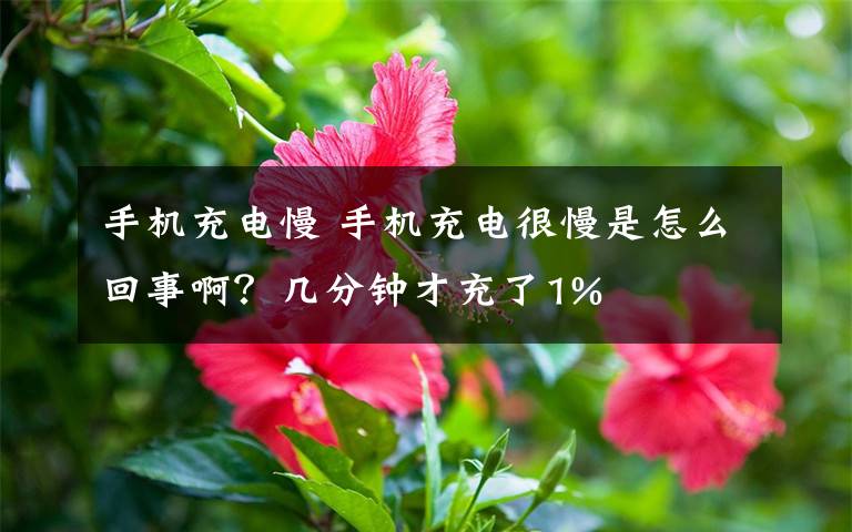 手机充电慢 手机充电很慢是怎么回事啊?几分钟才充了1%