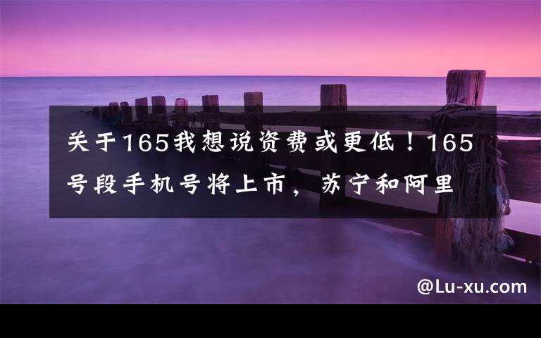 关于165我想说资费或更低！165号段手机号将上市，苏宁和阿里都成为虚拟运营商