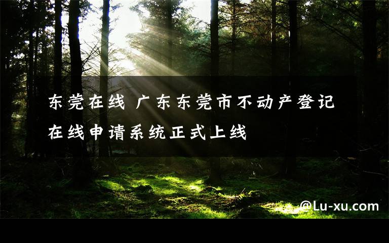 东莞在线 广东东莞市不动产登记在线申请系统正式上线