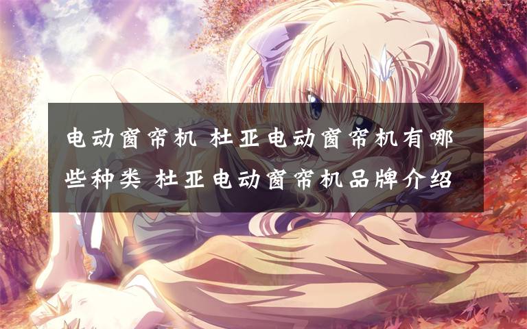 电动窗帘机 杜亚电动窗帘机有哪些种类 杜亚电动窗帘机品牌介绍【详解】