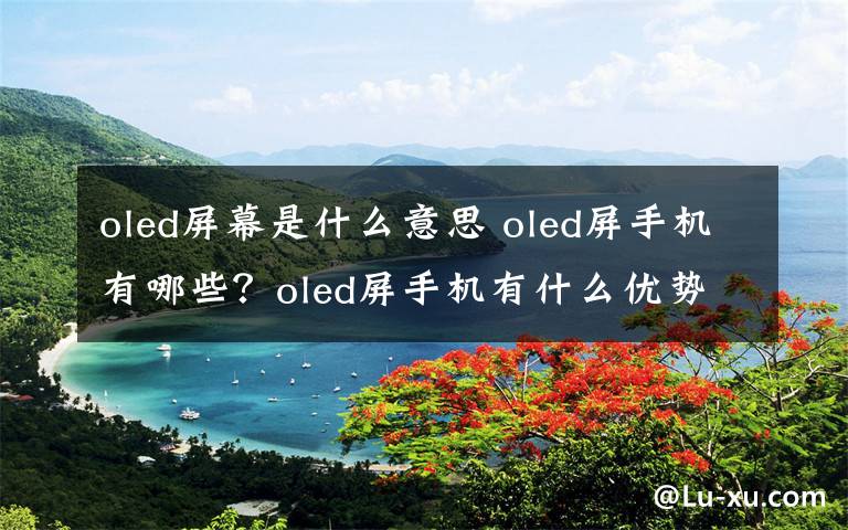 oled屏幕是什么意思 oled屏手机有哪些?oled屏手机有什么优势