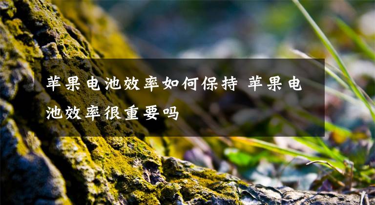 苹果电池效率如何保持 苹果电池效率很重要吗