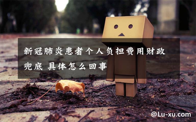 新冠肺炎患者个人负担费用财政兜底 具体怎么回事