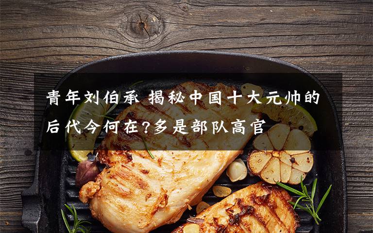 青年刘伯承 揭秘中国十大元帅的后代今何在?多是部队高官