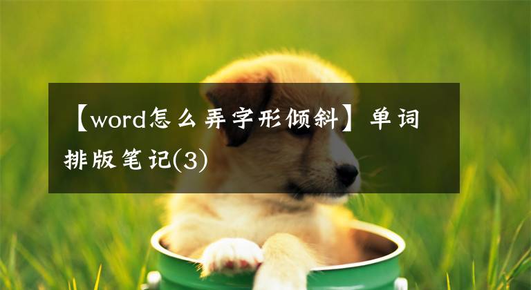 【word怎么弄字形倾斜】单词排版笔记(3)