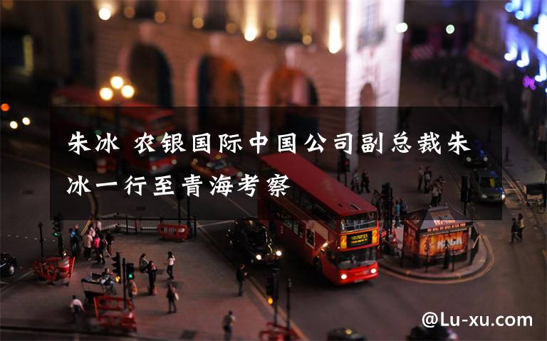 朱冰 农银国际中国公司副总裁朱冰一行至青海考察