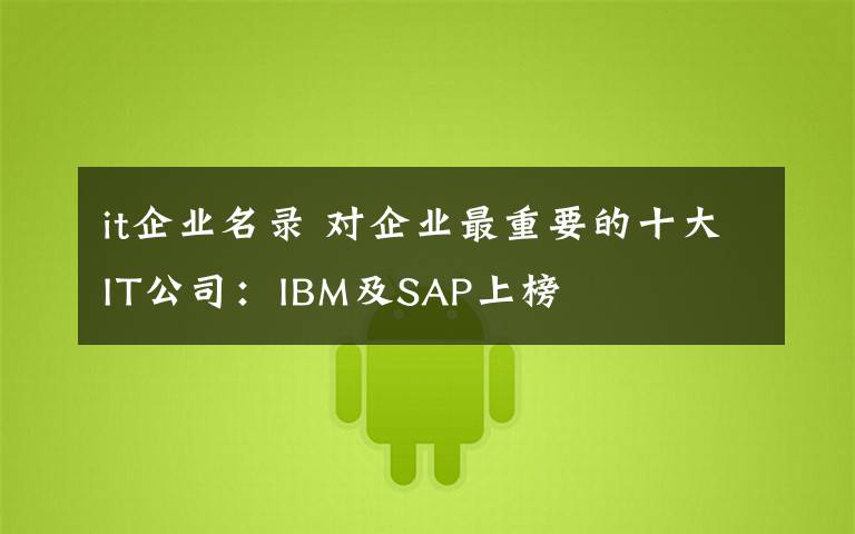 it企业名录 对企业最重要的十大IT公司:IBM及SAP上榜