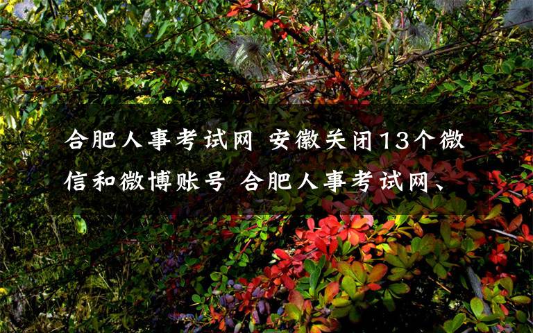 合肥人事考试网 安徽关闭13个微信和微博账号 合肥人事考试网、合肥公交等在列