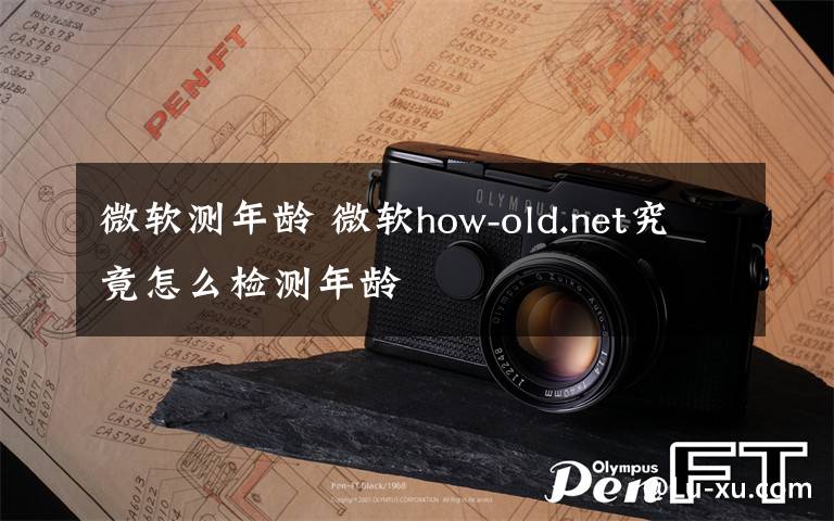 微软测年龄 微软how-old.net究竟怎么检测年龄
