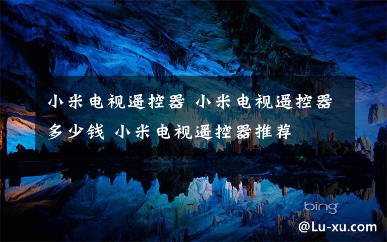 小米电视遥控器 小米电视遥控器多少钱 小米电视遥控器推荐