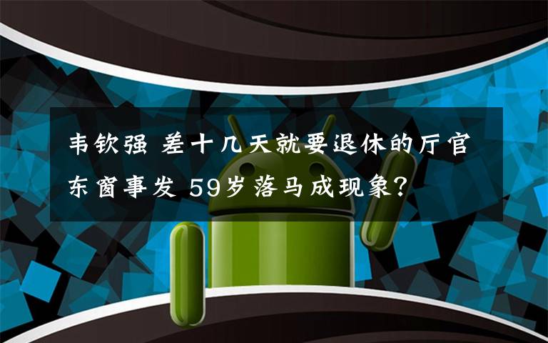 韦钦强 差十几天就要退休的厅官东窗事发 59岁落马成现象?
