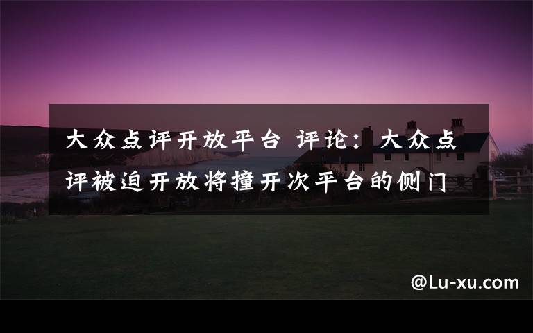 大众点评开放平台 评论:大众点评被迫开放将撞开次平台的侧门