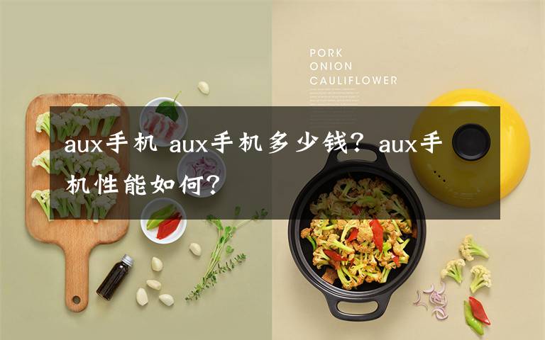 aux手机 aux手机多少钱?aux手机性能如何?