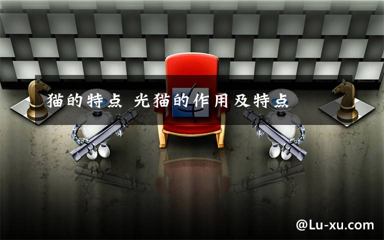 猫的特点 光猫的作用及特点