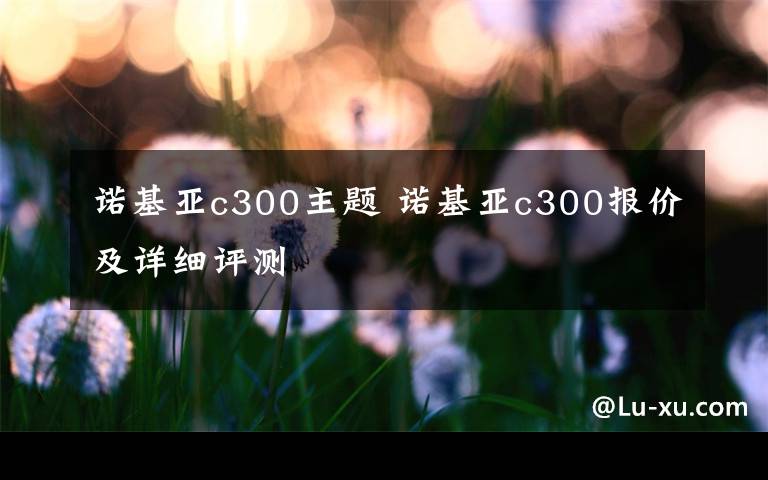 诺基亚c300主题 诺基亚c300报价及详细评测