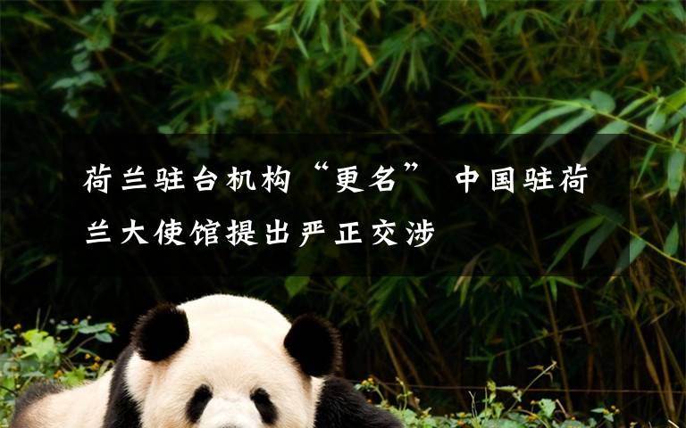 荷兰驻台机构“更名” 中国驻荷兰大使馆提出严正交涉