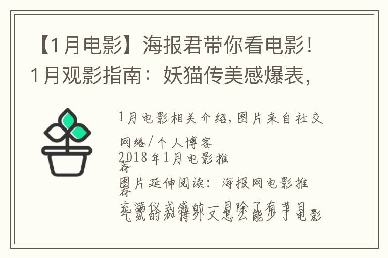 【1月电影】海报君带你看电影!1月观影指南:妖猫传美感爆表,阿米尔·汗新作来袭,娜塔莉·波特曼版"第一夫人"上线!