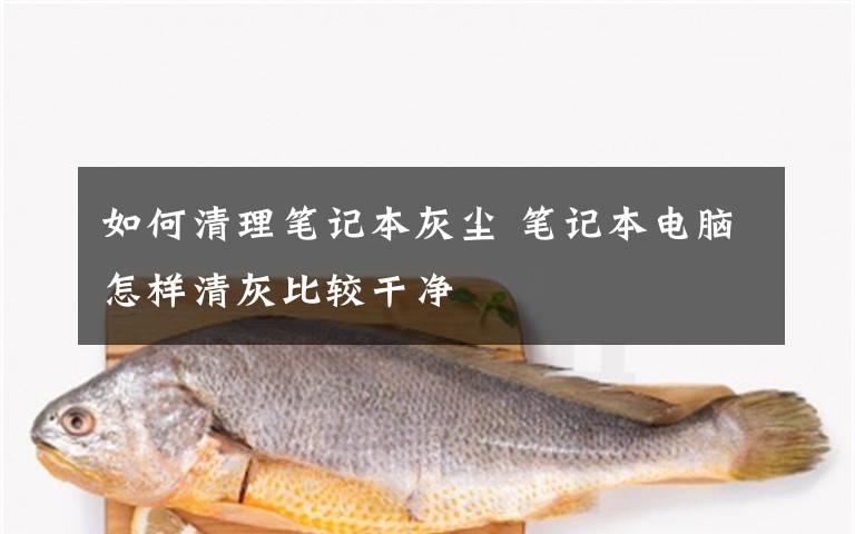 如何清理笔记本灰尘 笔记本电脑怎样清灰比较干净