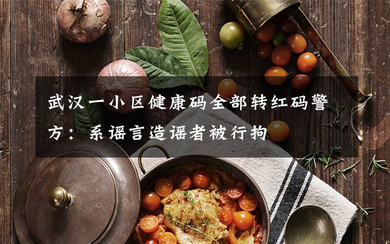 武汉一小区健康码全部转红码警方：系谣言造谣者被行拘