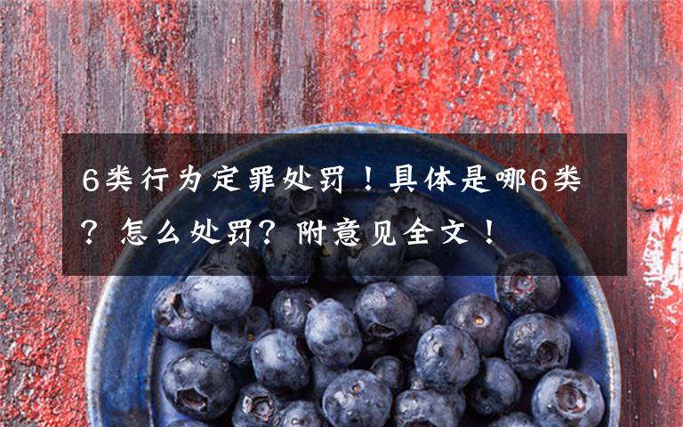 6类行为定罪处罚!具体是哪6类?怎么处罚?附意见全文!